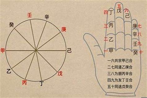 八字 坐基|八字十神与坐基关系详解